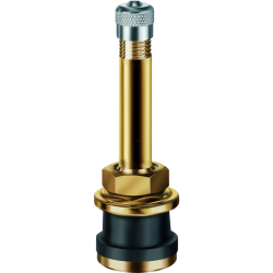 VALVES TUBELESS W1436 PL DROITE TR 501 D. 16 mm (VENDUES PAR 10)