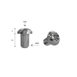 VIS TORX M6X10 POUR VALVES TPMS PL (VENDUES PAR 10) = 5623590 #