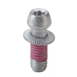 VIS POUR VALVE TPMS M5-T5 ALLIGATOR