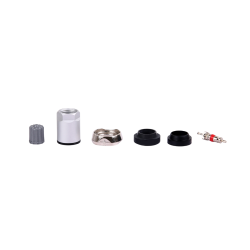 KIT ENTRETIEN UNIVERSEL POUR VALVES TPMS ARGENTÉES